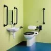 Armitage Shanks Contour 21 Back To Wall Doc M Pack LH S0685 -Bathroom Promotion armitage shanks s0685ac