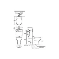 Armitage Shanks Profile 21 Back To Wall Toilet With Soft Close Seat 5 Armitage Shanks Profile 21 Back To Wall Toilet With Soft Close Seat -Bathroom Promotion armitage shanks s309501 s410201 2