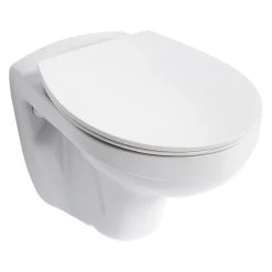 Armitage Shanks Sandringham 21 Wall Hung Toilet With Standard Seat