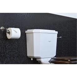 Perrin & Rowe Pivot Bar Toilet Roll Holder Gold 9 Perrin & Rowe Pivot Bar Toilet Roll Holder Gold -Bathroom Promotion perrin rowe 6960ig 3