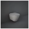 RAK Feeling Rimless Wall Hung Pan & Soft Close Seat Matt Grey -Bathroom Promotion rak feewhpan503 sc