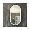 RAK Art Oval LED Illuminated Mirror With Demister 1000x550mm Matt Black -Bathroom Promotion rak rakartovmb5002
