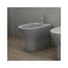 RAK Feeling Rimless Back To Wall Bidet Matt Grey -Bathroom Promotion rak rst14503a