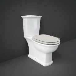 RAK Washington WC With Push Button Cistern & Matt Greige Seat